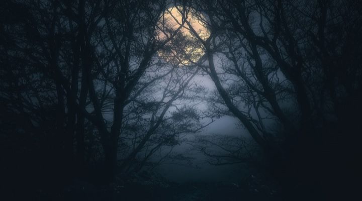 Jacob Walter Anderson Story